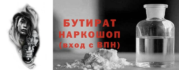 индика Беломорск