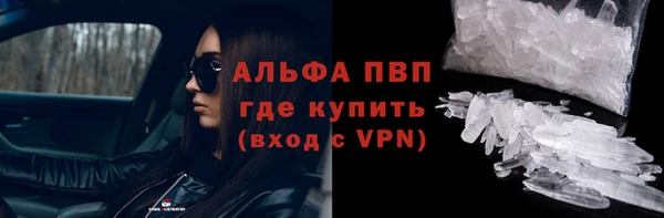 PSILOCYBIN Белокуриха