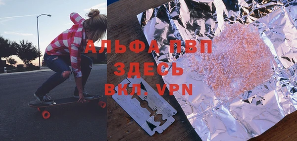 PSILOCYBIN Белокуриха