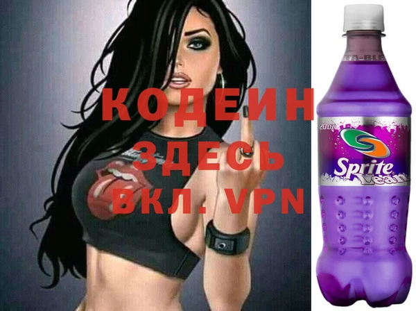 индика Беломорск
