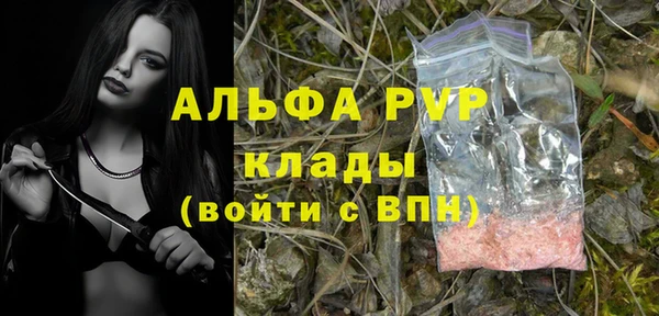PSILOCYBIN Белокуриха