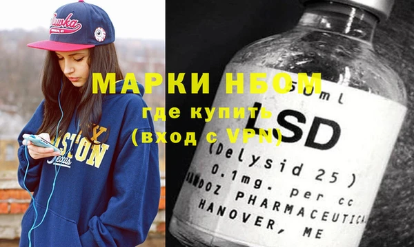 индика Беломорск