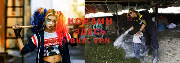 индика Беломорск