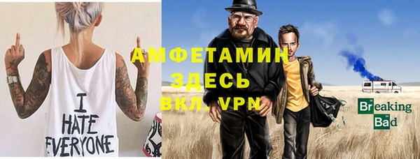 индика Беломорск