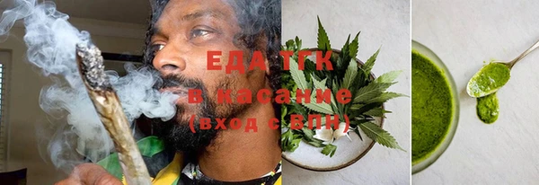 индика Беломорск