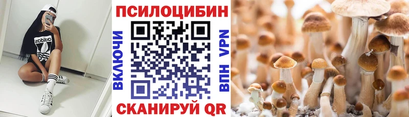 omg рабочий сайт Костомукша Галлюциногенные грибы Cubensis где можно купить наркотик